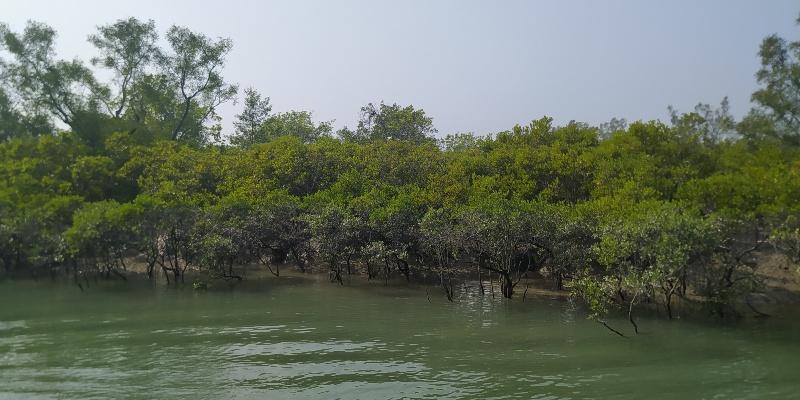 SUNDARBAN TRAVEL DIARY