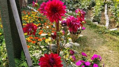 IMPORTANCE OF FLOWERS  [ फूलो का महत्त्व ]