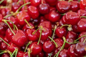 Read more about the article How to grow cherry plant from cherry seeds