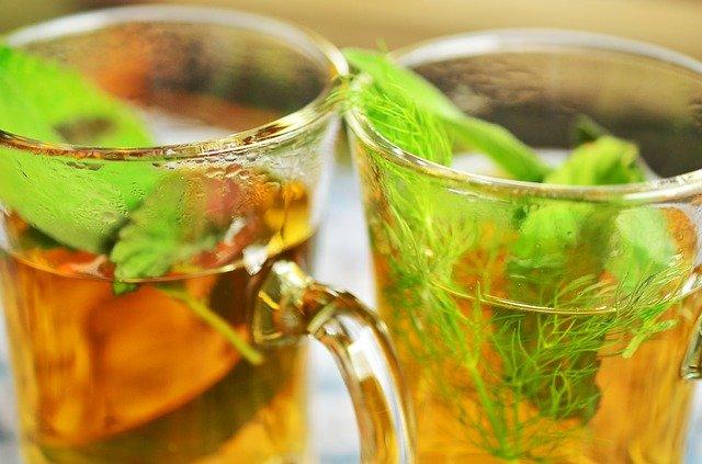 Mint plant Benefits, care and side effects