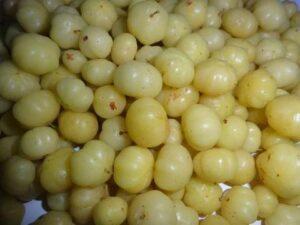 Read more about the article Benefits of Amla/Indian Gooseberry