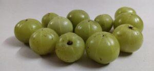 Read more about the article 10 Biggest side effects of Amla/Indian gooseberry