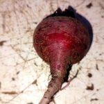 Side effects of beetroot