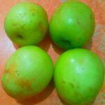 Health Benefits and side effects of indian Ber or Jujube
