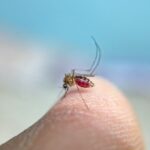 Monsoon Diseases Prevention