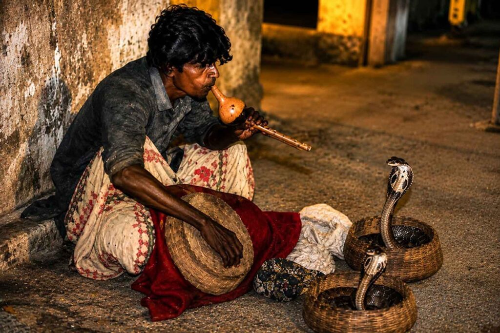Snakebite treatment and first aid